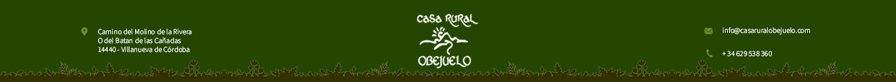 Logotipo Mi web
