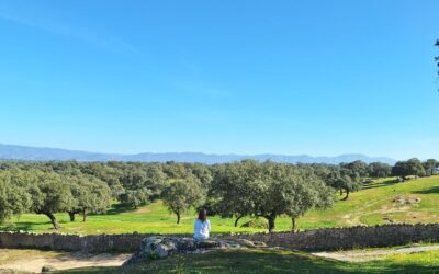 Casa Rural Obejuelo: una forma de estar en Los Pedroches