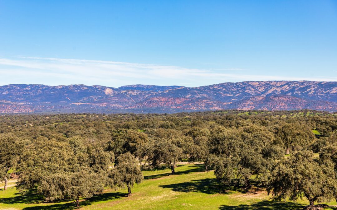 Qué ver en el Valle de Los Pedroches