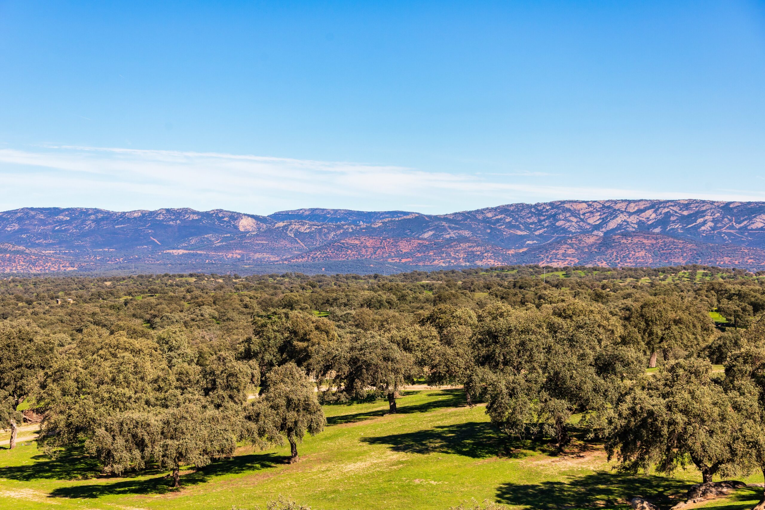 Casa rural en Los Pedroches. Elegir bien dónde alojarse