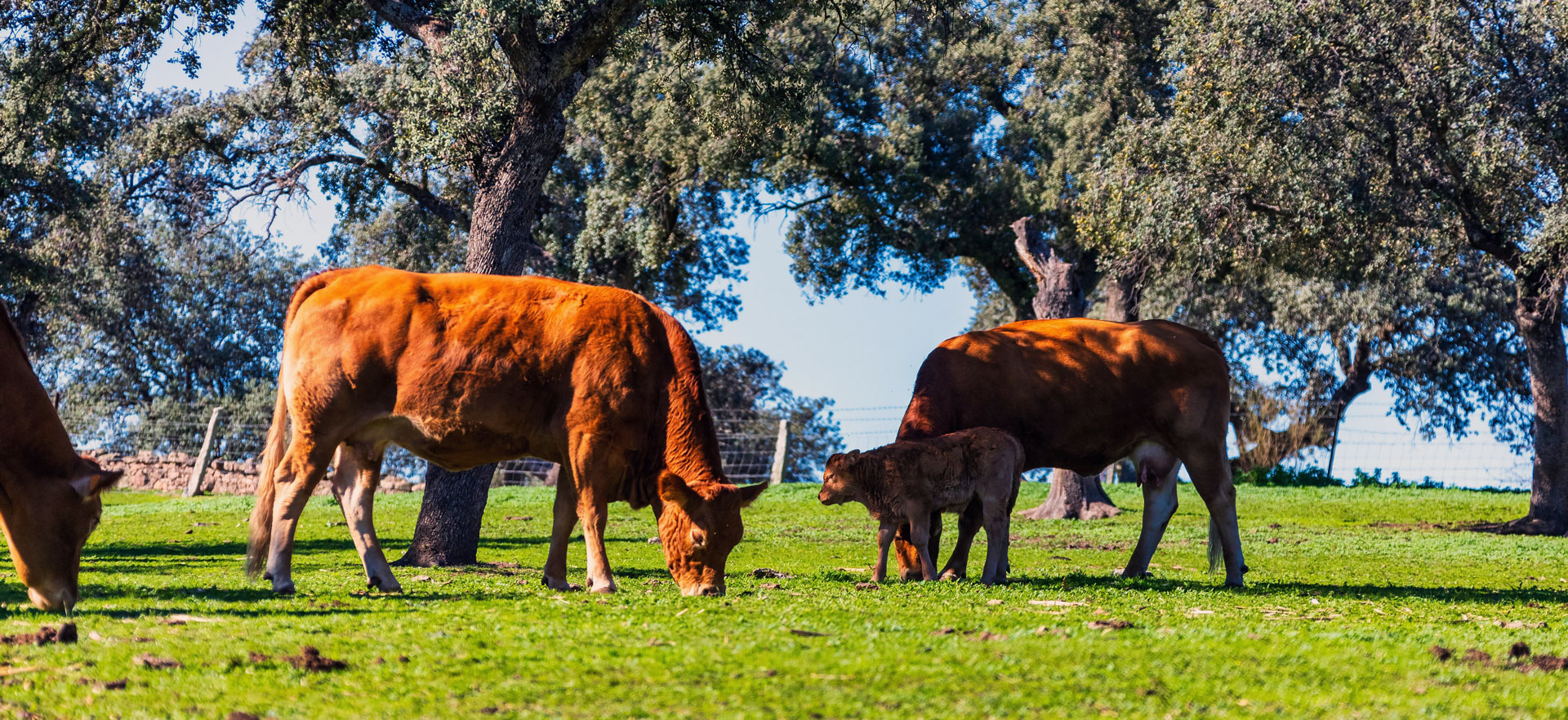Territorio que se vive